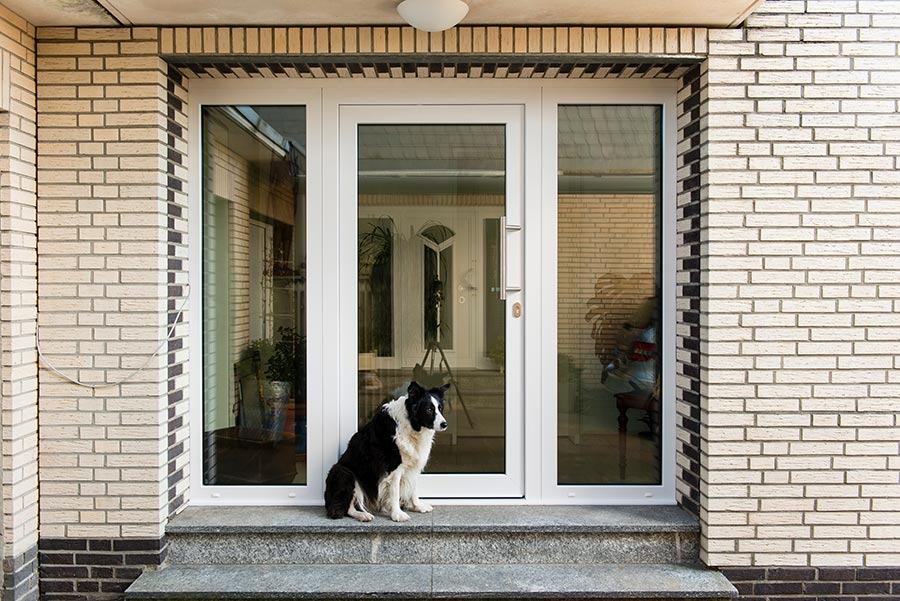 Kunststoff-Haustür in dunkler Farbe